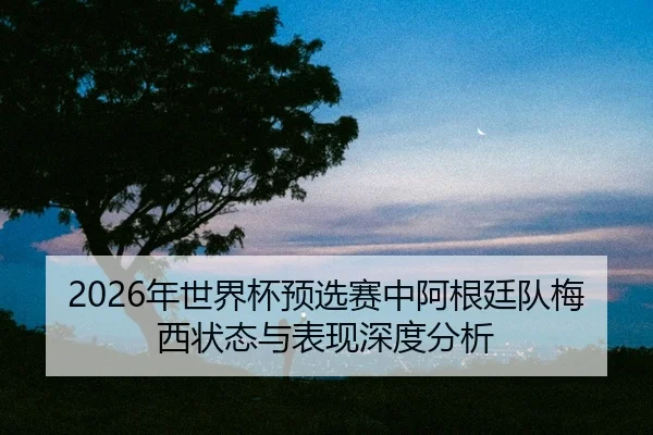 nian-shi-jie-bei-yu-xuan-sai-zhong-a-gen-ting-dui-mei-xi-zhuang-tai-yu-biao-xian-shen-du-fen-xi-2-671.jpg