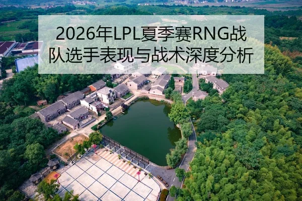 2026年LPL夏季赛RNG战队选手表现与战术深度分析